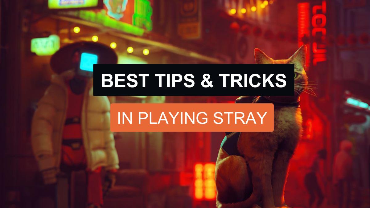Best Tips & Tricks in Playing Stray